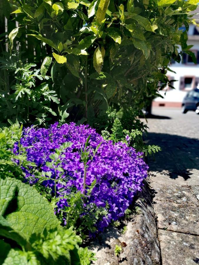 Ferienwohnung Lavanda Rust Dış mekan fotoğraf