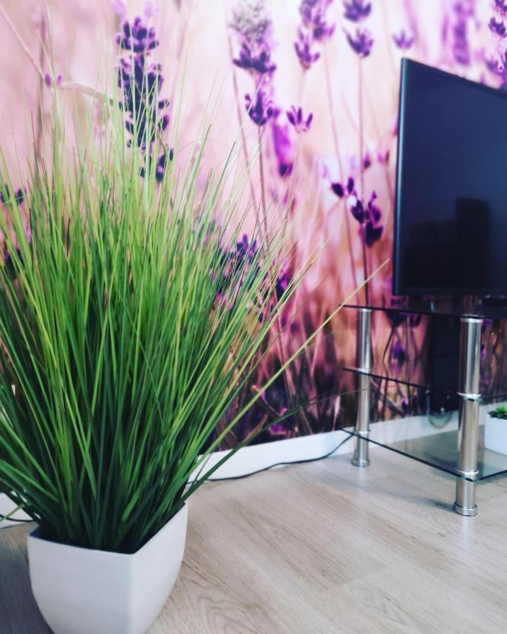 Ferienwohnung Lavanda Rust Dış mekan fotoğraf